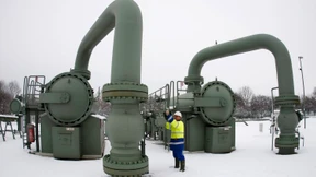 Firmen-Verkauf an russischen Milliardär besorgt Politiker