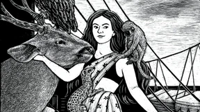 Wer möchte nicht manchmal seine Katze sein?