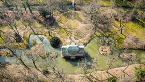 Träume im Dornröschenschlaf