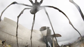 Etappen, Fahrer und Favoriten