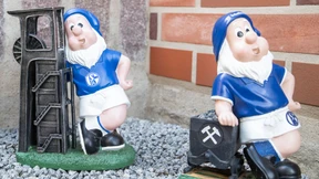 Schalker Zwerge
