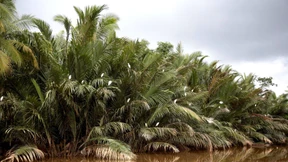 Das Haus des Friedens öffnet seine Türen