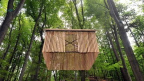 Überraschung im Grünen