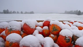 Erster Vorgeschmack auf den Winter