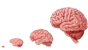 Der Mensch tickt wirklich anders