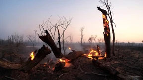 Im Schatten der Amazonas-Brände