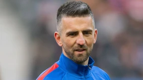 Der erstaunliche Vertrag des Vedad Ibisevic