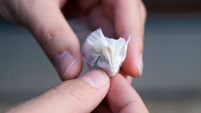 Schlag gegen Drogenhandel 