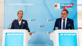 AfD fragt Vornamen von Bürgergeldempfängern ab