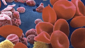 Wehe, der alte Drache wird wach