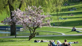 Sonne satt bis zur Wochenmitte