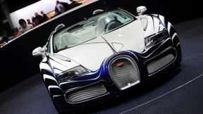 Trends, Neuheiten und Studien