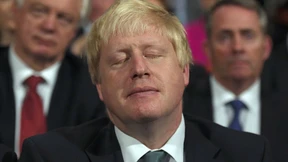 Johnson war eigentlich doch nicht für den Brexit