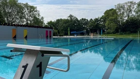 Schwimmtag für Hunde