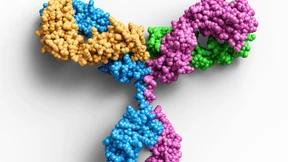 Hoffnungsträger in Ypsilon-Form