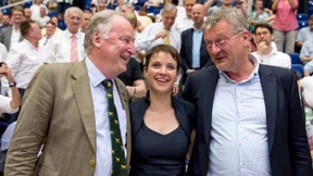 Gauland: Spaltung kein Indiz für Zerfall der AfD