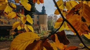 Historische Parks in Gefahr