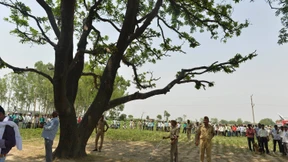 Mädchen wurden lebendig am Baum aufgehängt