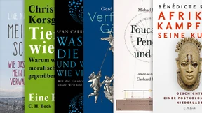 Die wichtigsten Sachbücher