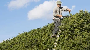 Zankapfel Zusatzversorgung