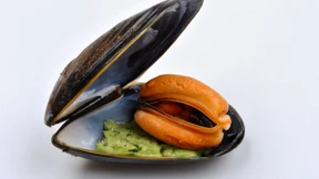 So futtern Sie sich durch