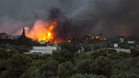 Waldbrände in Griechenland fordern zahlreiche Tote