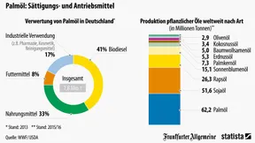 Palmöl ist überall