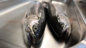 Einfach zum Wohlfühlen