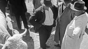 Was der Bauer nicht wissen sollte