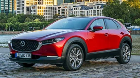 Drei plus Eins macht Dreißig