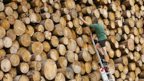 Wie kommt das Holz in den Kamin?