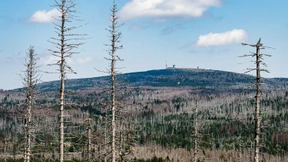 Trotz Klima-Albträumen nicht verbittert