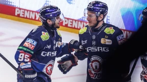 Die Eisbären auf Haie-Jagd