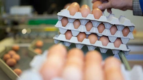 Fehlen an Ostern die Eier?