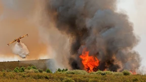 Sieben große Feuer und kein einziges Löschflugzeug