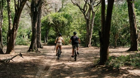 Auf dem E-Bike zu den Löwen