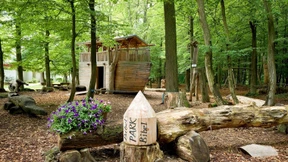 Arche Noah und Tanz ums Goldene Kalb