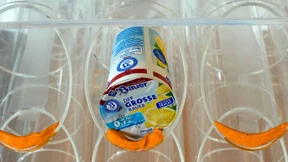 Testlabor für eine bessere Welt