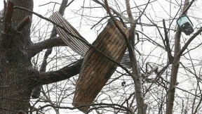 Brandgefährlicher Wald