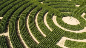 Minotaurus wohnt hier nicht mehr