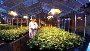 Für Anleger bleibt die Biotechnologie ein Risiko 