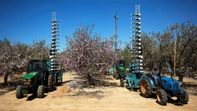 Pollen-Kanonen sollen Bienen ersetzen