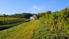 Die Grenzgänger sind etabliert