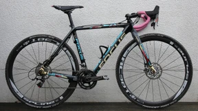 Die Freiheit, durch den Wald zu fliegen