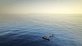 Eine ganz andere Einwanderung