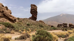 Das Ende der Vergänglichkeit