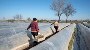 Landwirte klagen über Energiekosten und Mindestlohn