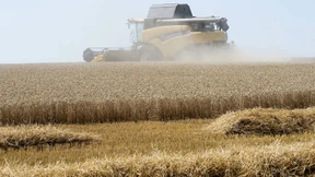 „So mancher Bauer bekommt Depressionen“