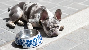 Viel Grün, freie Fahrt und eigene Badetage