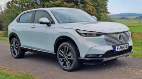 Diesel san geht in Rente